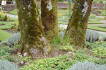 2009-09-20_13-17-42_DSC_0105.jpg