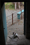2009-09-20_13-20-32_DSC_0111.jpg