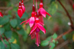 2009-09-20_13-25-49_DSC_0121.jpg