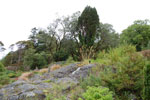2009-09-20_13-27-17_DSC_0123.jpg