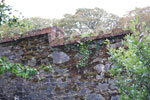2009-09-20_13-33-09_DSC_0127.jpg