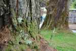 2009-09-20_13-36-21_DSC_0134.jpg