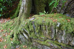 2009-09-20_14-20-19_DSC_0178.jpg