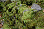 2009-09-20_14-22-23_DSC_0182.jpg