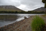 2009-09-20_14-31-11_DSC_0193.jpg