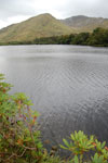 2009-09-20_14-35-42_DSC_0196.jpg