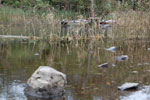2009-09-20_14-41-22_DSC_0205.jpg