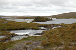 2009-09-20_16-01-11_DSC_0220.jpg