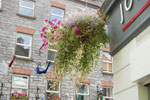 2009-09-21_12-50-20_DSC_0234.jpg