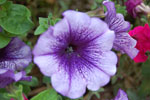 2009-09-21_13-08-38_DSC_0265.jpg