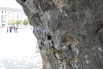 2009-09-21_13-18-04_DSC_0281.jpg