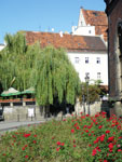 2009-09-23_14-28-01_IMGP0246.jpg