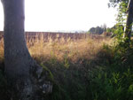 2009-09-27_17-16-15_IMGP0415.jpg