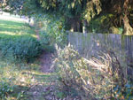 2009-09-27_17-26-12_IMGP0430.jpg