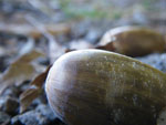 2009-09-27_17-27-02_IMGP0431.jpg