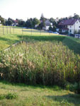2009-09-27_17-32-06_IMGP0441.jpg