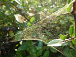 2009-09-27_17-46-33_IMGP0448.jpg