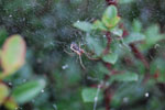 2009-10-01_16-00-10_DSC_0318.jpg