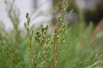 2009-10-01_16-00-47_DSC_0321.jpg