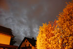 2009-10-02_01-22-38_DSC_0365.jpg