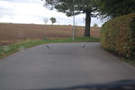 2009-10-02_14-22-01_DSC_0371.jpg