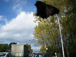 2009-10-06_16-00-24_IMGP0513.jpg