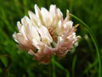 2009-10-07_16-42-56_IMGP0531.jpg