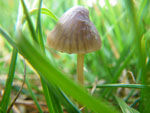 2009-10-07_16-43-24_IMGP0533.jpg