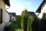 2009-10-09_15-47-42_DSC_0699.jpg