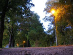 2009-10-09_18-49-13_IMGP0555.jpg