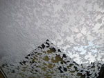 2009-10-13_15-31-18_IMGP0665.jpg