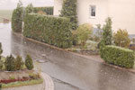 2009-10-15_14-17-23_DSC_0805.jpg