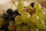 2009-10-15_14-24-57_DSC_0814.jpg