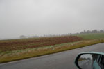 2009-10-15_15-10-31_DSC_0840.jpg