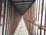 2009-10-20_17-33-35_IMGP0779.jpg