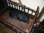 2009-10-22_20-06-33_IMGP0820.jpg
