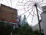 2009-10-23_14-06-10_IMGP0856.jpg