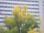 2009-10-23_14-08-16_IMGP0857.jpg