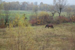 2009-10-30_08-34-12_DSC_0954.jpg