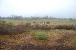 2009-10-30_08-34-53_DSC_0958.jpg