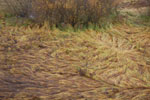 2009-10-30_08-35-00_DSC_0963.jpg