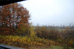 2009-10-30_08-35-30_DSC_0971.jpg