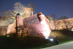 2009-11-02_17-40-11_DSC_1187.jpg