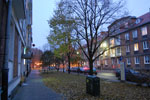 2009-11-04_16-22-35_DSC_1227.jpg