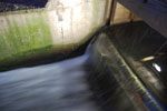 2009-11-04_16-25-09_DSC_1233.jpg