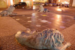 2009-11-04_16-39-52_DSC_1250.jpg