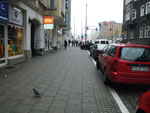 IMGP1191.jpg