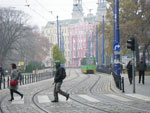 IMGP1194.jpg