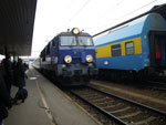 IMGP1207.jpg