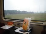 IMGP1209.jpg